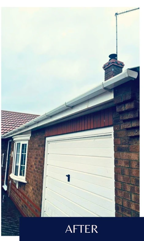 Garage Door & Roofline Refresh